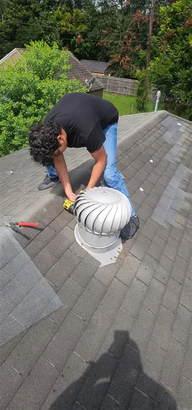 Rodent Exclusion Sealing
